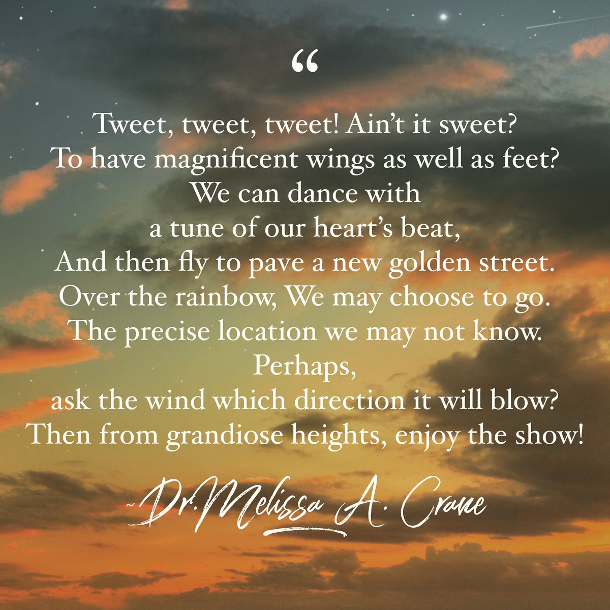 Melissa Crane tweet media