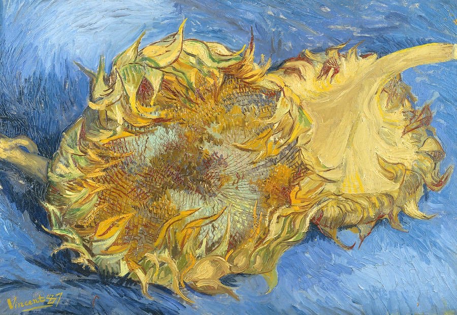 Vincent Van Gogh’un çiçekleri ve ağaçları