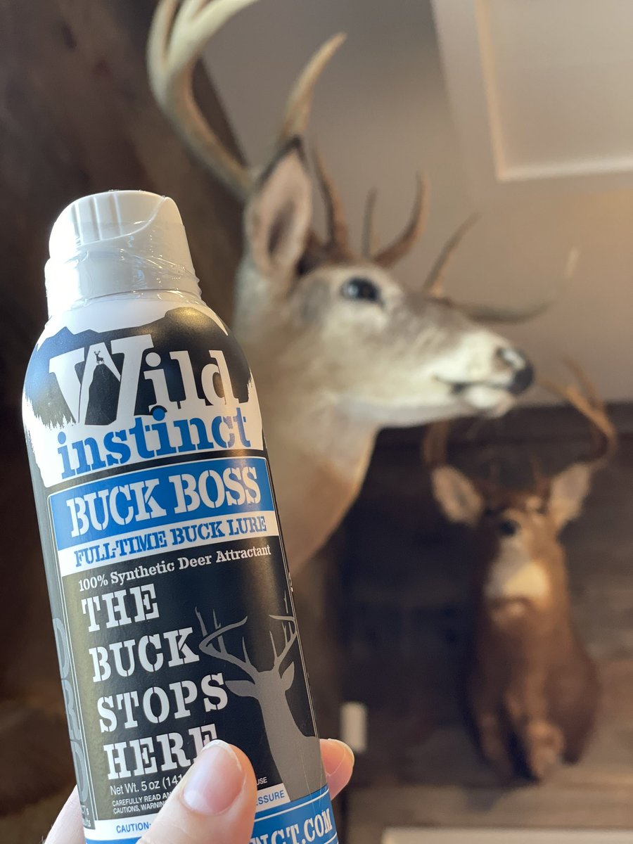 Wild Instinct tweet media