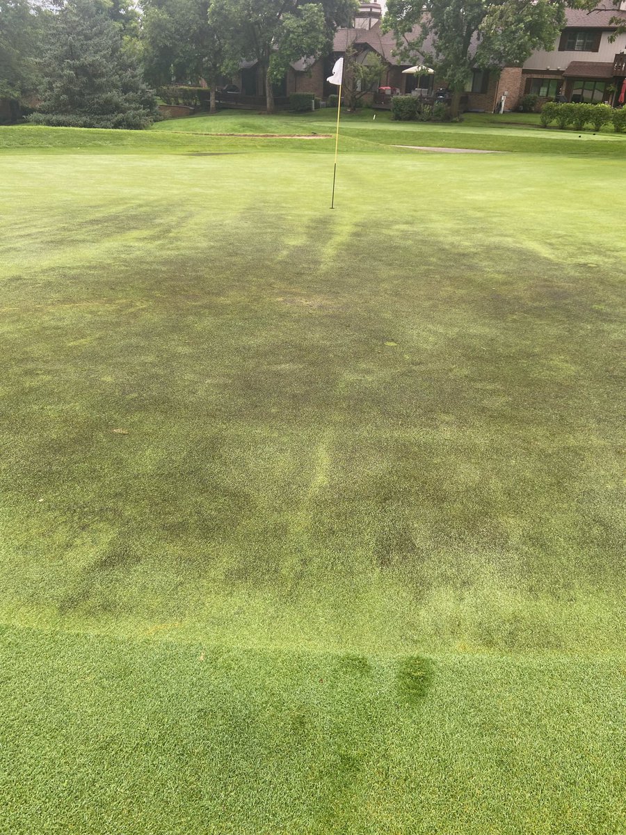 Jeremy Turton tweet media