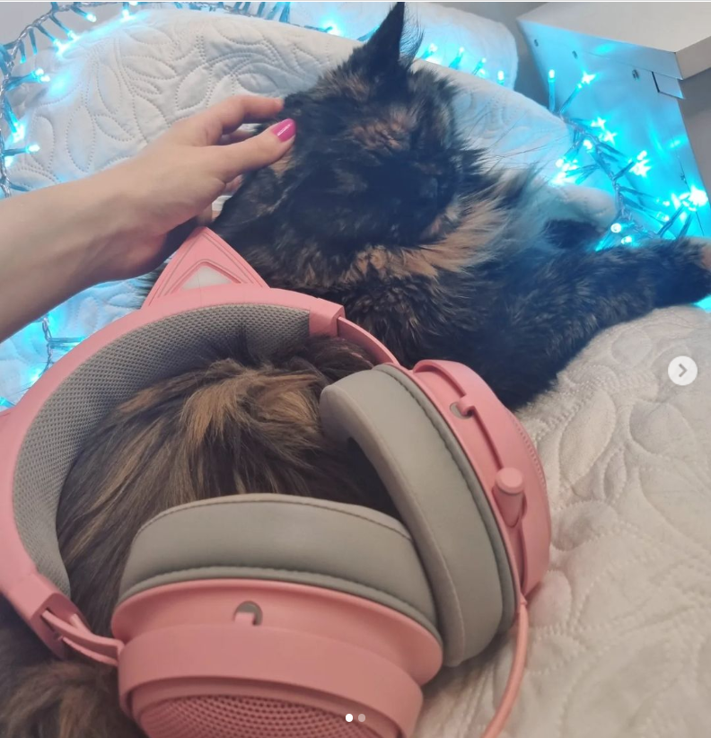 R Λ Z Ξ R on Twitter: