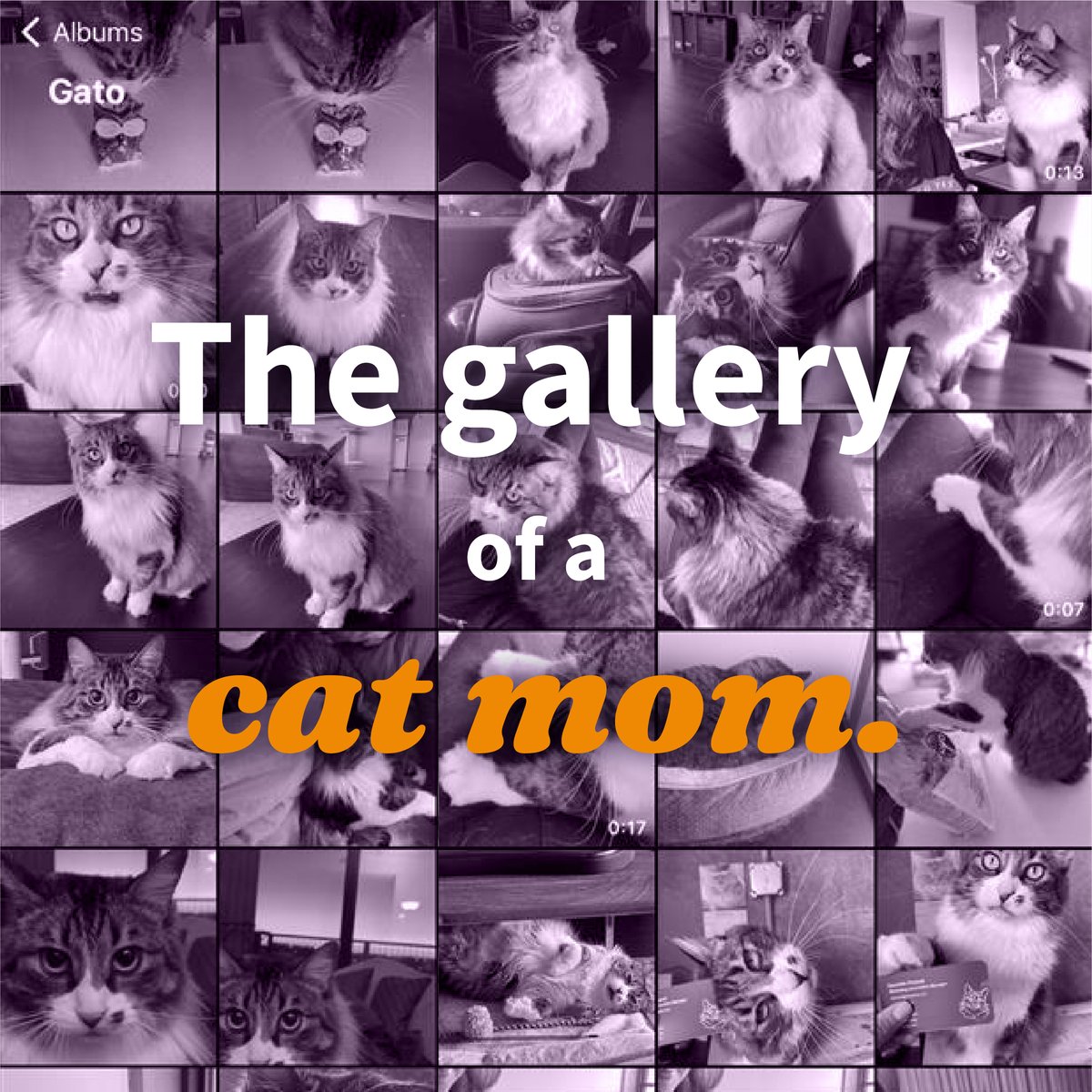 Hey cat moms: It’s International Cat Day. Purring. Pouncing. Plotting world domination. Cats everywhere deserve the best to keep up with their itinerary. Use code CATMOM25 for 25% off Halo Holistic food &amp; treats for a limited time. 
halopets.com/collections/ca… 
#InternationalCatDay