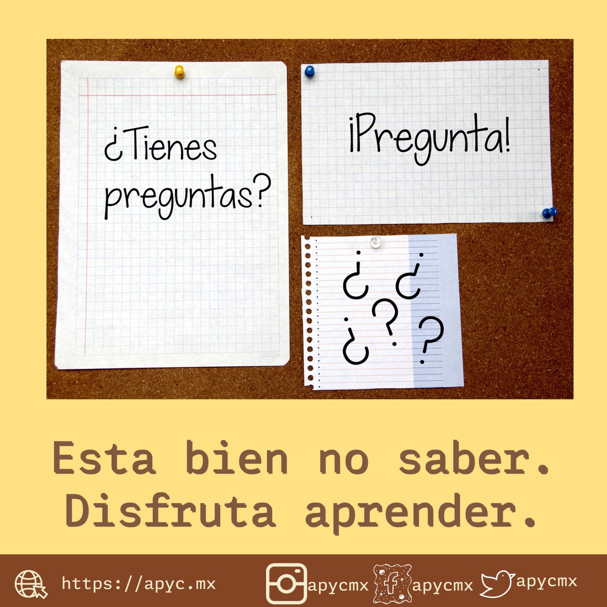 apycmx's tweet photo. Muchas veces nos es muy difícil aceptar un error o aceptar nuestro desconocimiento. Normalicemos poner nuestro valor en otro tipo de cosas.
#apycmx https://t.co/I2dq02K95Y