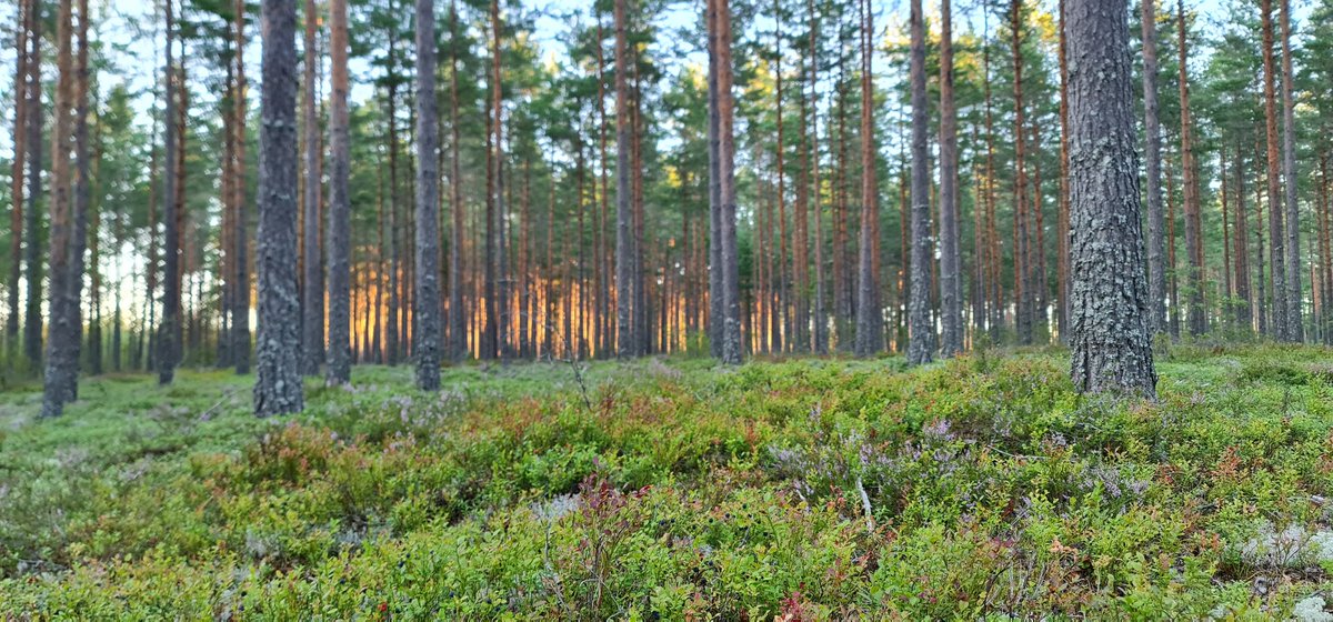 Noch ein bisschen Natur gefällig?