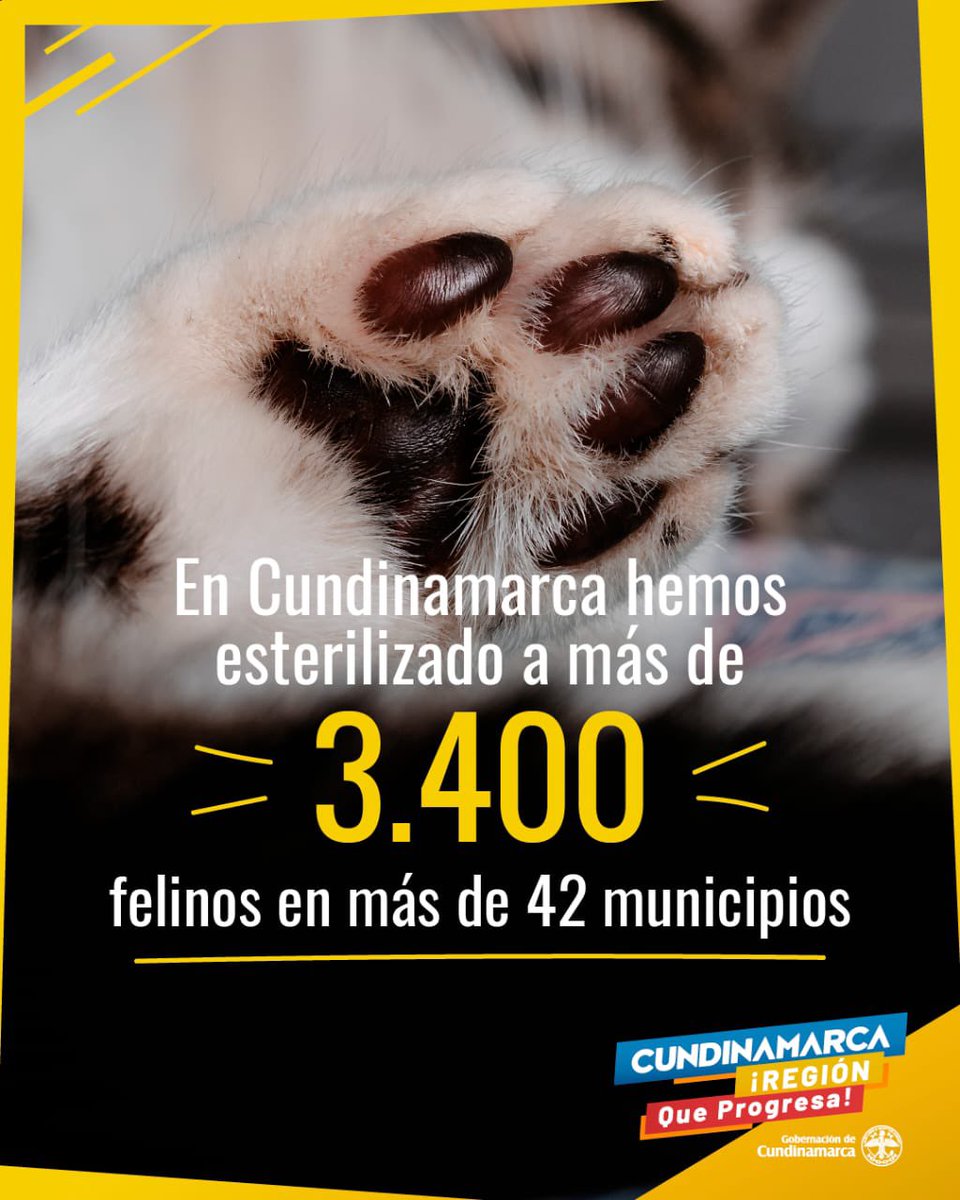 Gobernación de Cundinamarca tweet media