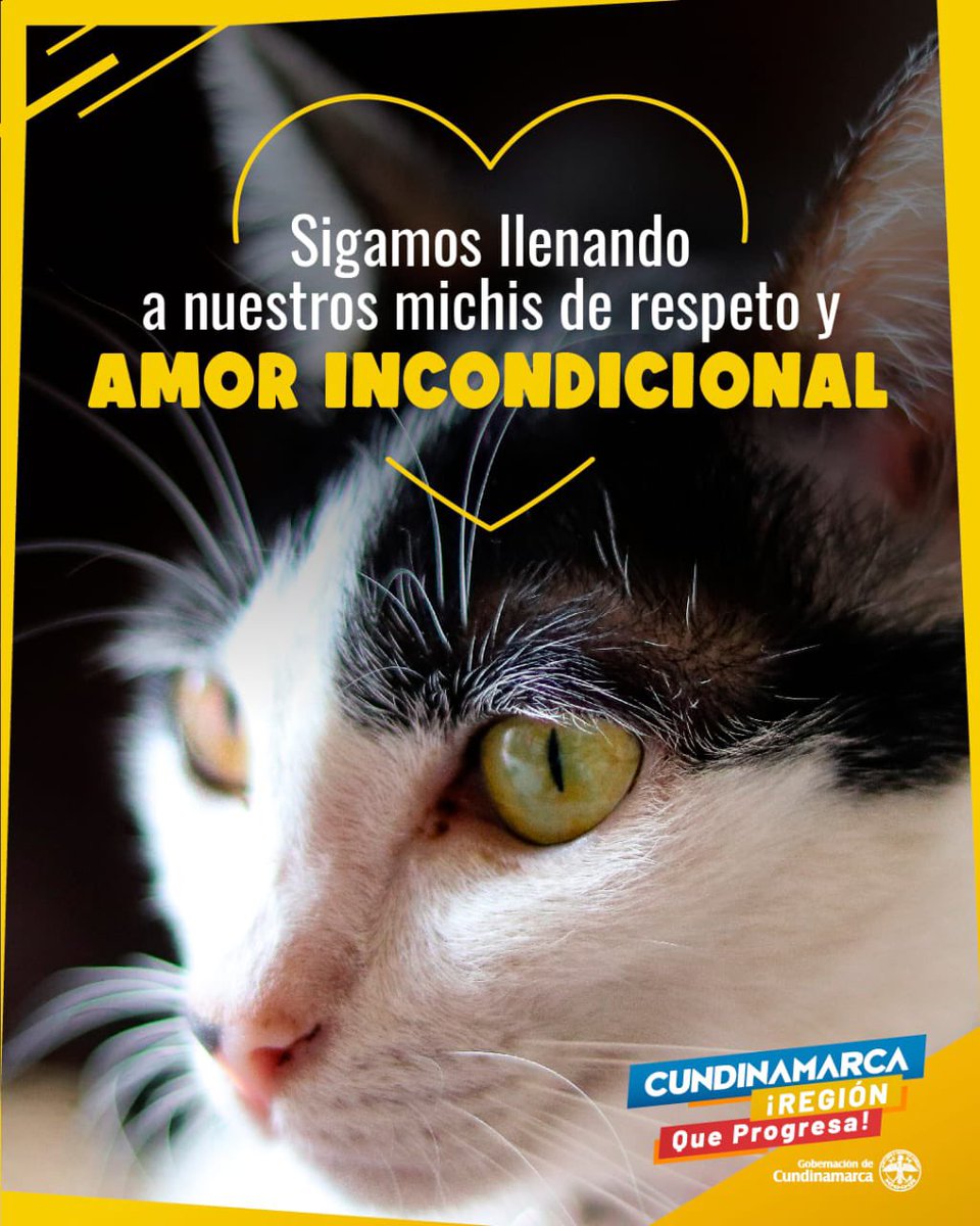 Gobernación de Cundinamarca tweet media