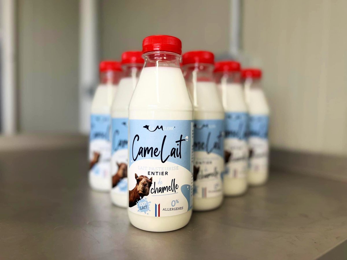 KAMELITO_MILK's tweet photo. 🚨 Bonne nouvelle‼️Le bonheur ne s’achète pas, il se boit❗️

🥛🐪 Lait de chamelle &amp; lait de chamelle fermenté (kéfir de lait) :
- Liquide 500mL
- Frais, pasteurisé, entier
- Local made in France 🇫🇷
- Retrait à Nanterre et Marseille

⚠️ Commande en pv (stock limité) https://t.co/e308TUoTOP
