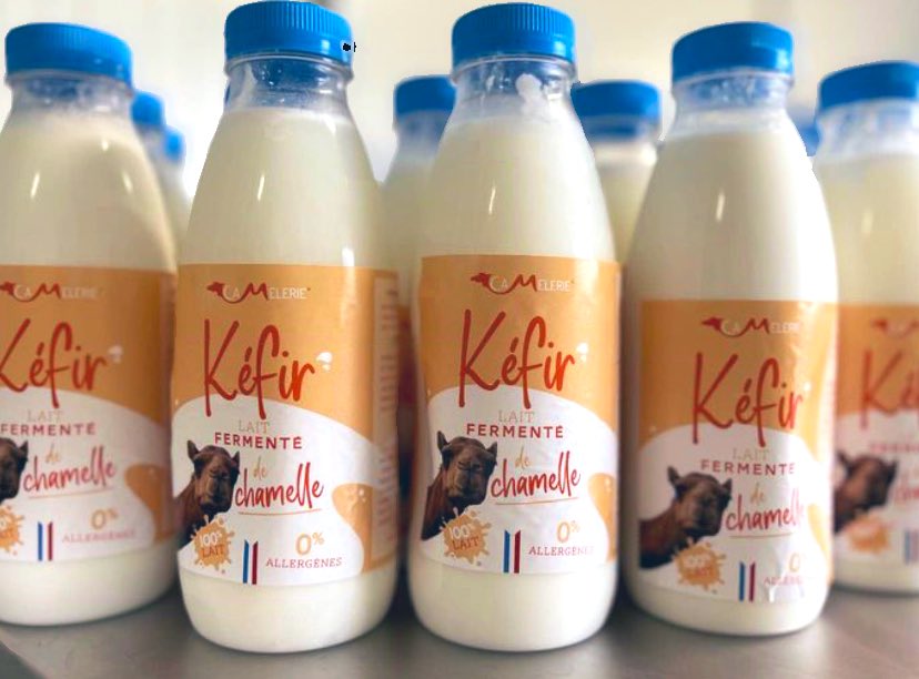 KAMELITO_MILK's tweet photo. 🚨 Bonne nouvelle‼️Le bonheur ne s’achète pas, il se boit❗️

🥛🐪 Lait de chamelle &amp; lait de chamelle fermenté (kéfir de lait) :
- Liquide 500mL
- Frais, pasteurisé, entier
- Local made in France 🇫🇷
- Retrait à Nanterre et Marseille

⚠️ Commande en pv (stock limité) https://t.co/e308TUoTOP