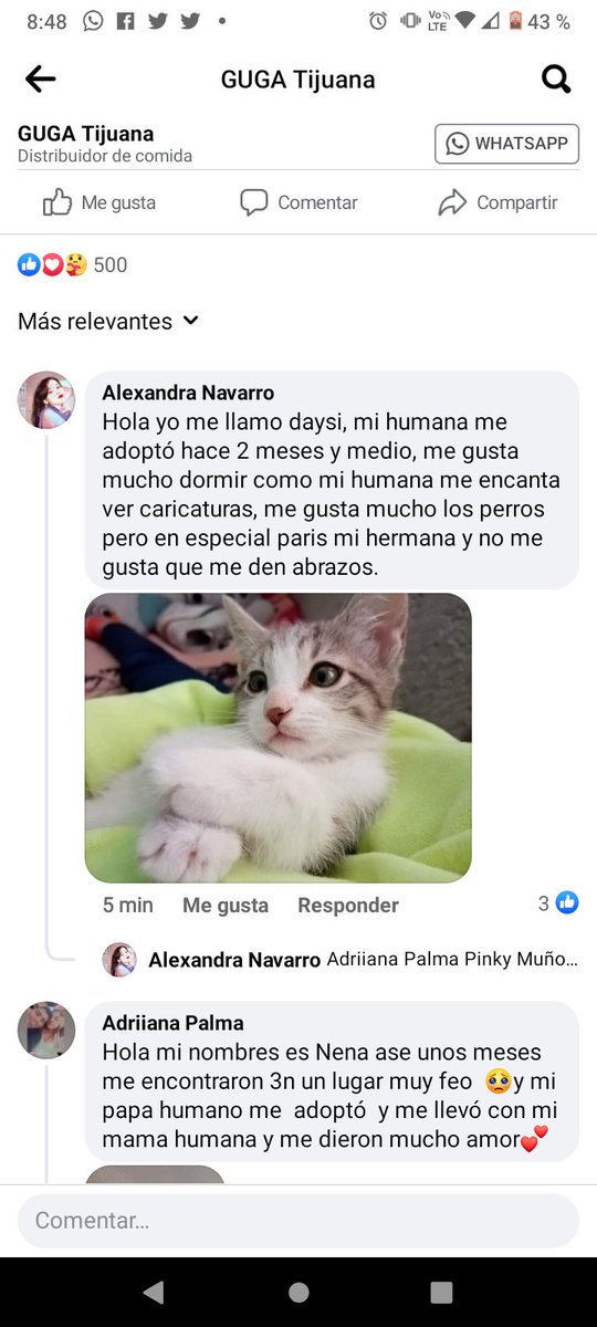 𝓐𝓵𝓮𝔁𝓪 𝓞𝓼 tweet media