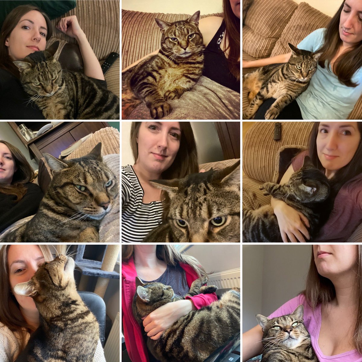 KeriEdmondsMK's tweet photo. It’s #InternationalCatDay! Love and kisses to my eight year old chonk. It’s just you and me buddy. https://t.co/cKyIEx4CL9