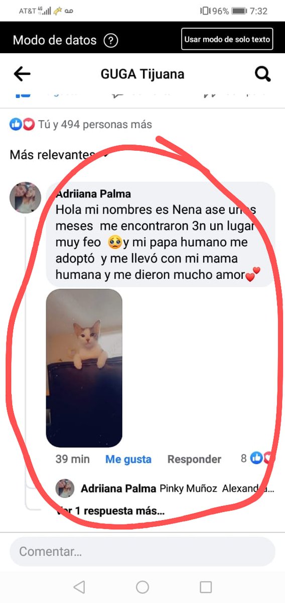 𝓐𝓵𝓮𝔁𝓪 𝓞𝓼 tweet media