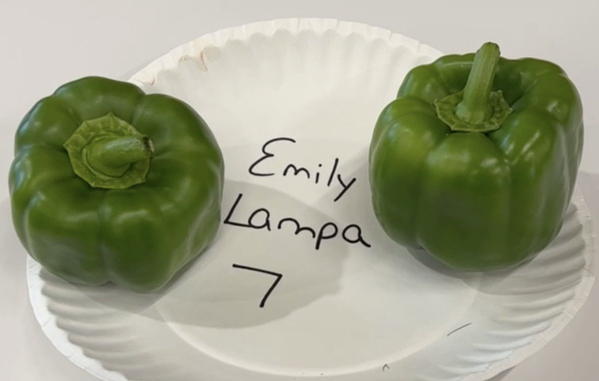 AM Buffalo (@am_buffalo) on Twitter photo Good luck, <a href="/EmilyLampa/">Emily Lampa</a>! Those 🌶's look like winners! #SeeItOn7 <a href="/WKBW/">7 News WKBW</a>
<a href="/ErieCountyFair/">Erie County Fair</a>
#eriecountyfair
#growingaces
#ecfgrowingaces
#greenpeppers Good luck, <a href="/EmilyLampa/">Emily Lampa</a>! Those 🌶's look like winners! #SeeItOn7 <a href="/WKBW/">7 News WKBW</a>
<a href="/ErieCountyFair/">Erie County Fair</a>
#eriecountyfair
#growingaces
#ecfgrowingaces
#greenpeppers