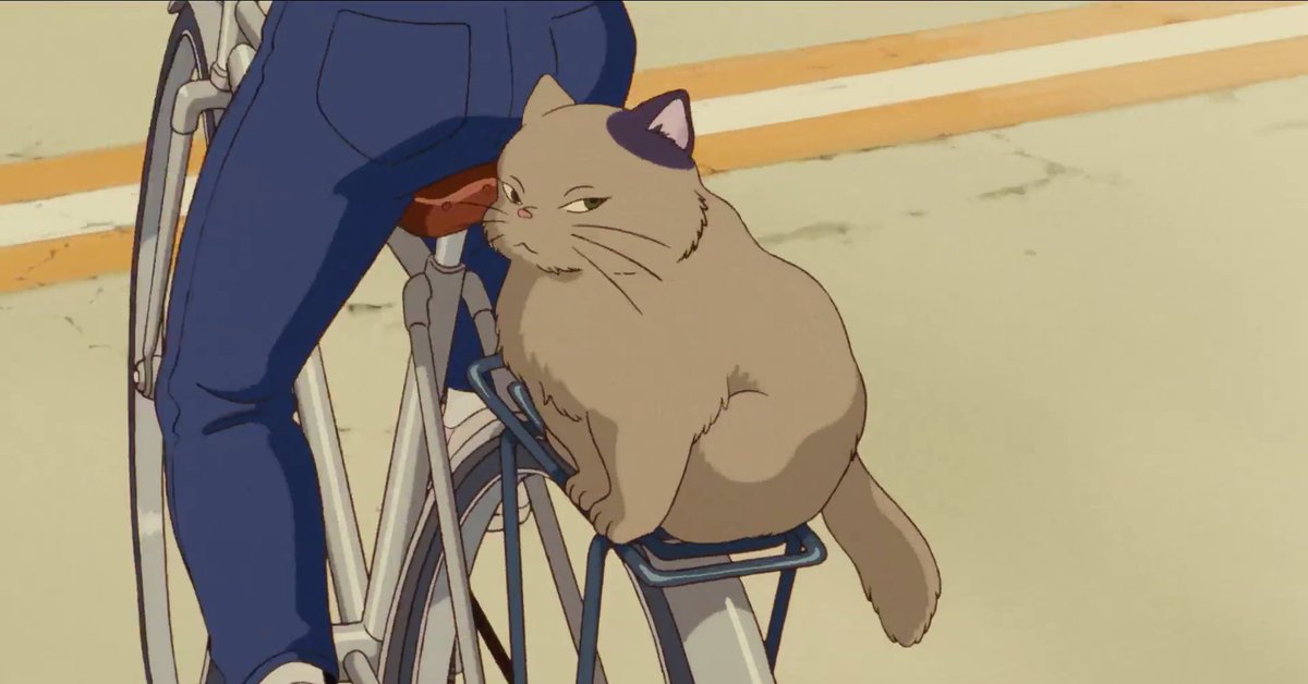 GhibliUSA's tweet photo. Happy #InternationalCatDay. 🐱 https://t.co/j3Ph5Z6z6f