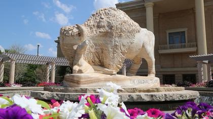 🦬 ŦW from WŦ tweet media