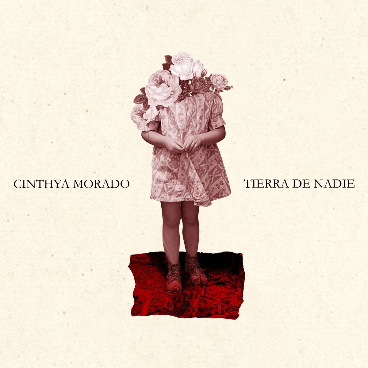 Francisco Toro- Collage tweet media