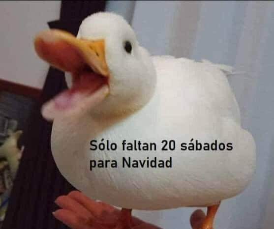 El Guarromántico (@guarromantico_) on Twitter photo 