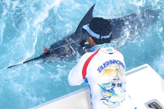 BushwackerCR's tweet photo. 2nd place inshore division and 2nd place offshore division after the first day. Wanted to win, so in Bushwacker fashion, swung for the fence fishing far north and caught very little the second day…still got 2nd inshore, 3rd offshore. #bushwackercr #PELAGICWORLDWIDE #pelagicgear https://t.co/T2vPYPKkdd
