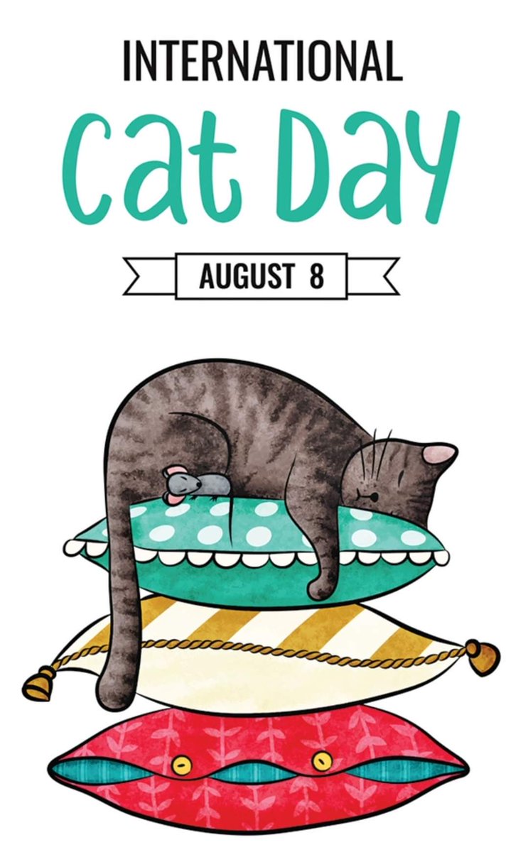 #international_cat_day