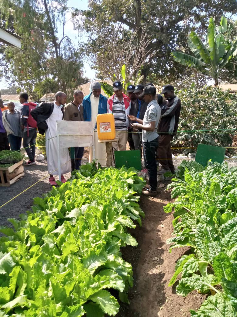 ELCT_ND_NCA's tweet photo. Happy Nane Nane Day!

We celebrate this day on the 8 August every year to recognize the important contribution of farmers to the Tanzanian economy. We wish to send a big thanks to all our farmers! 

#NaneNane 
#ClimateSmart https://t.co/b2ZhBCmXfC