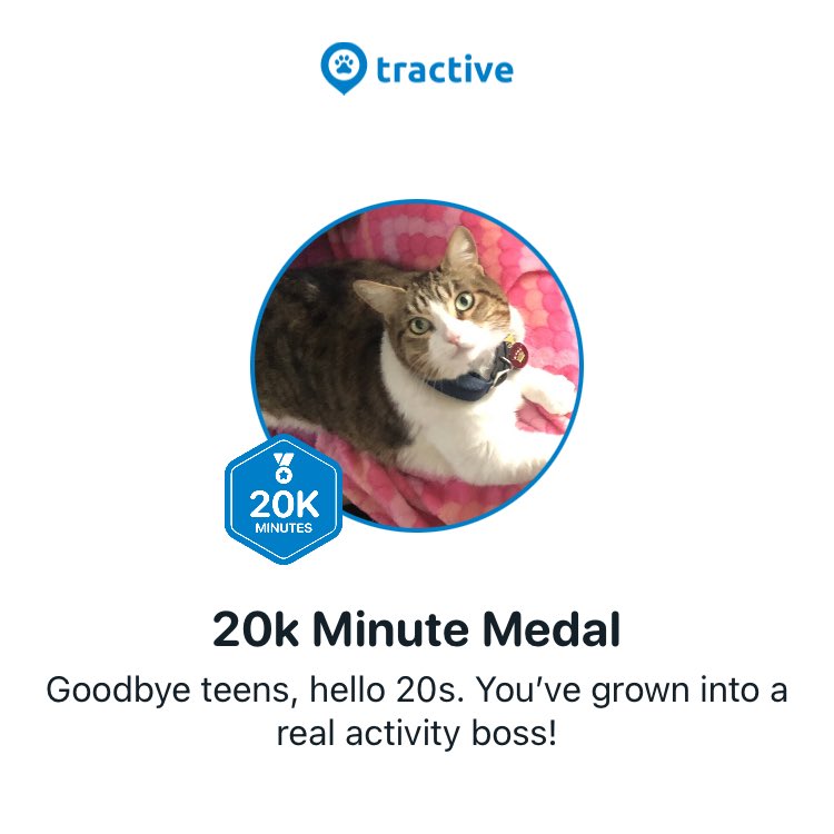 Leslie Michel tweet media