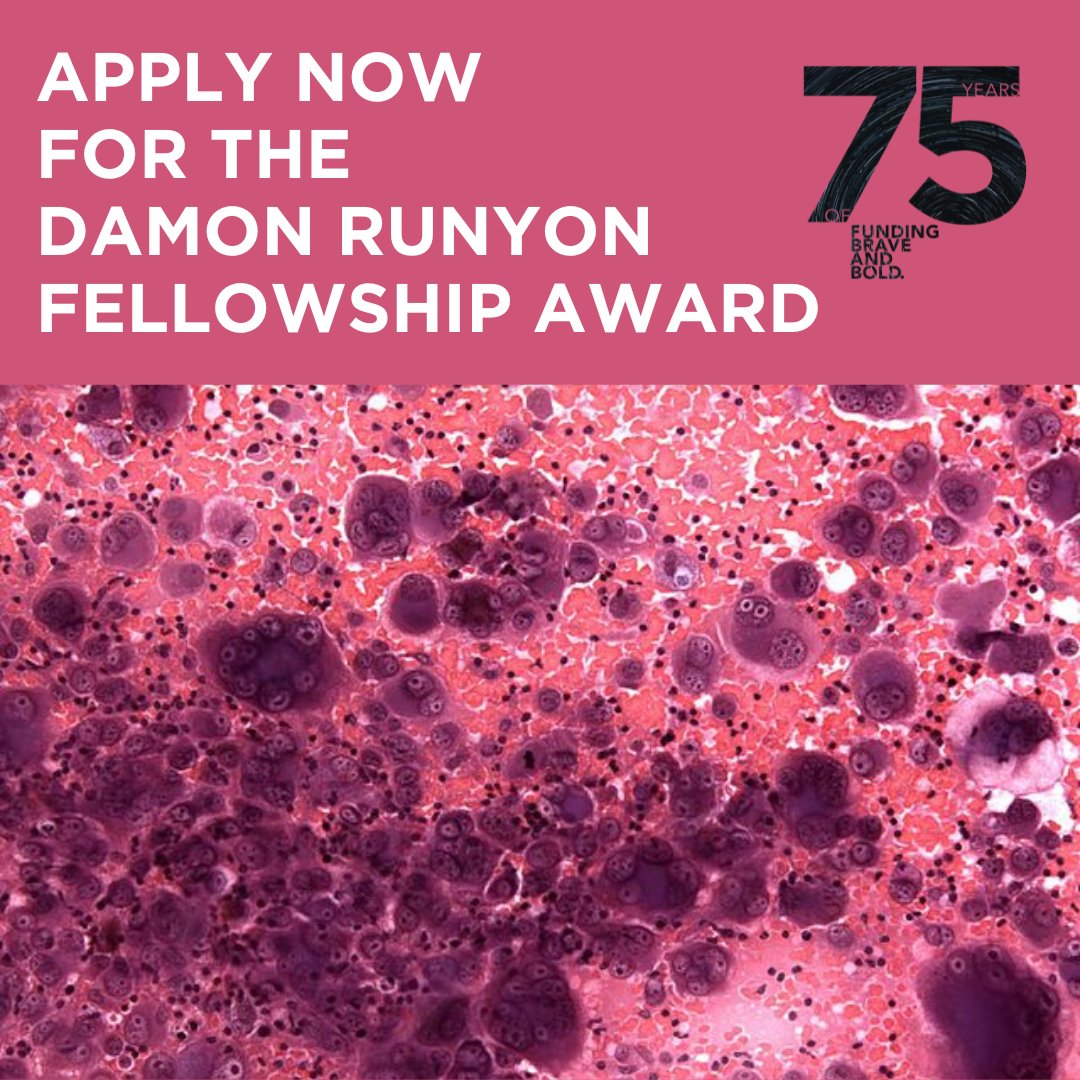 Its not too late to apply for our Fellowship Award—we're accepting applications through August 15th! The four year award supports early career researchers in the search for cancer causes, mechanisms, therapies and prevention. Find out more and apply here: bit.ly/3dLcetM