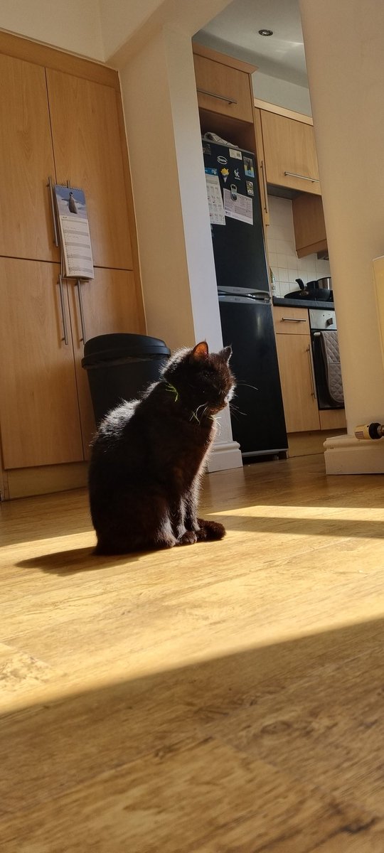 liam_cully's tweet photo. @UberFacts Sophie https://t.co/SWzSr9b3s2