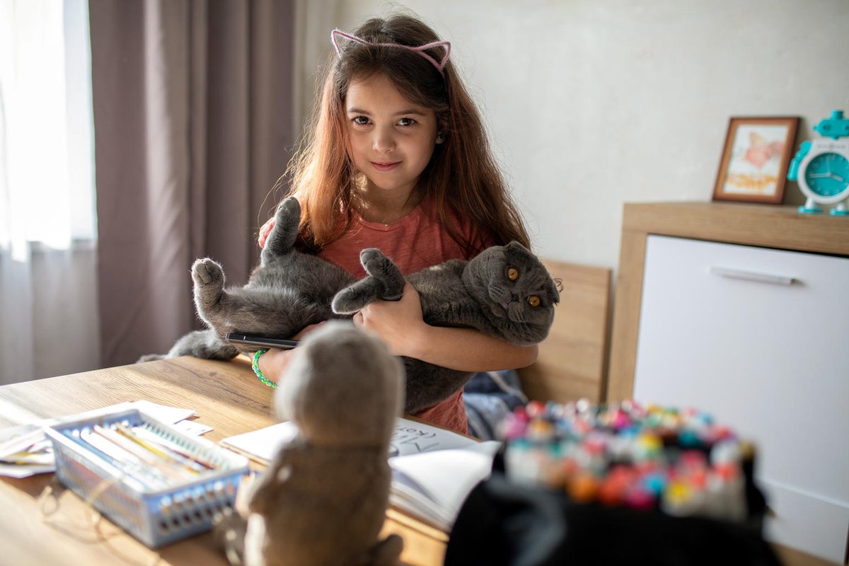 On #InternationalCatDay 🐈 we celebrate our feline friends with some perfectly timed meow-ments from around the world. From crisis to in the classroom, these children find solace in their cat companions.