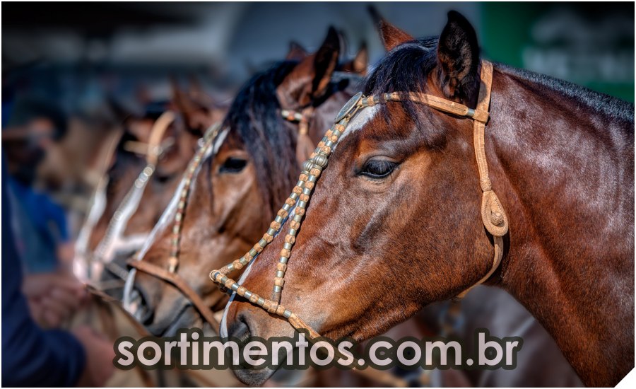 sortimentos's tweet photo. Cavalo Crioulo na Expointer 2022
: Nacional da Morfologia e Leilões presenciais de Cavalo Crioulo
https://t.co/HVrGaIIiLC

#CavaloCrioulo #Expointer #CavalosCrioulos #Expointer2022 #FeiraExpointer2022 #FeiraExpointer #Morfologia #Leilões #CriadoresdeCavalos #Cavalos https://t.co/udfUUBk8q5