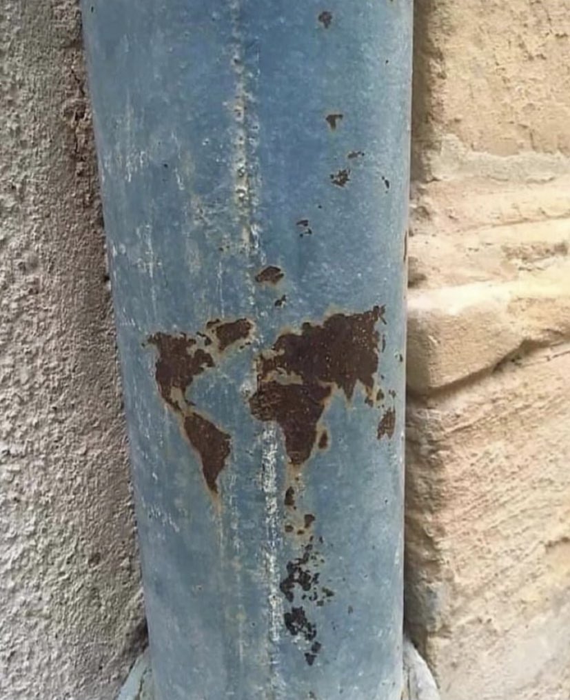 Banana for scale 🍌📏 tweet media