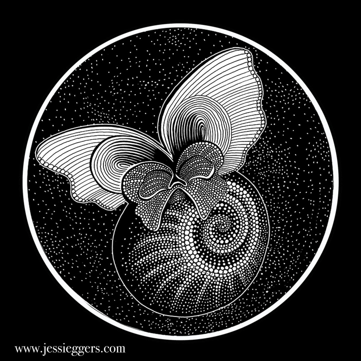 jessi_eggers's tweet photo. #seabutterflies :
The thinness and calcareous constitution of their shells make these planktonic molluscs extremely vulnerable to #oceanacidification, a type of canary in the coalmine of the ocean. #sciart #scicomm #marinebiology #plankton https://t.co/PyTV5x3FzH