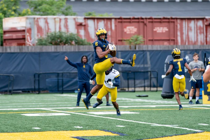 Cornelius Johnson makes a leaping grab