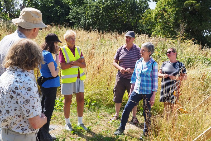 The first Saturday in August turned out to be hot and sunny for our Wendover Canal walk...

wendovercanal.org.uk/august-wendove…