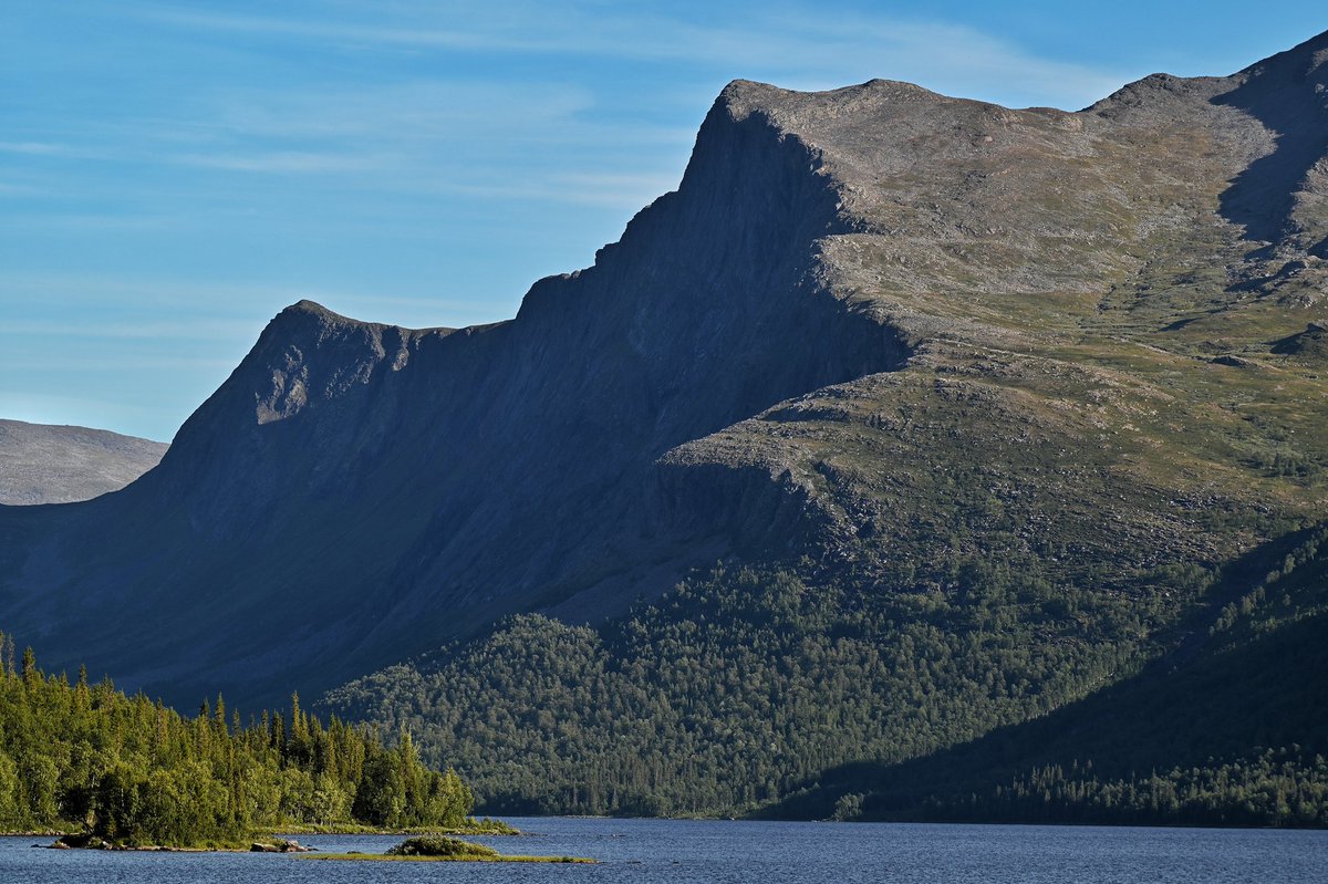 Uffemannen tweet media