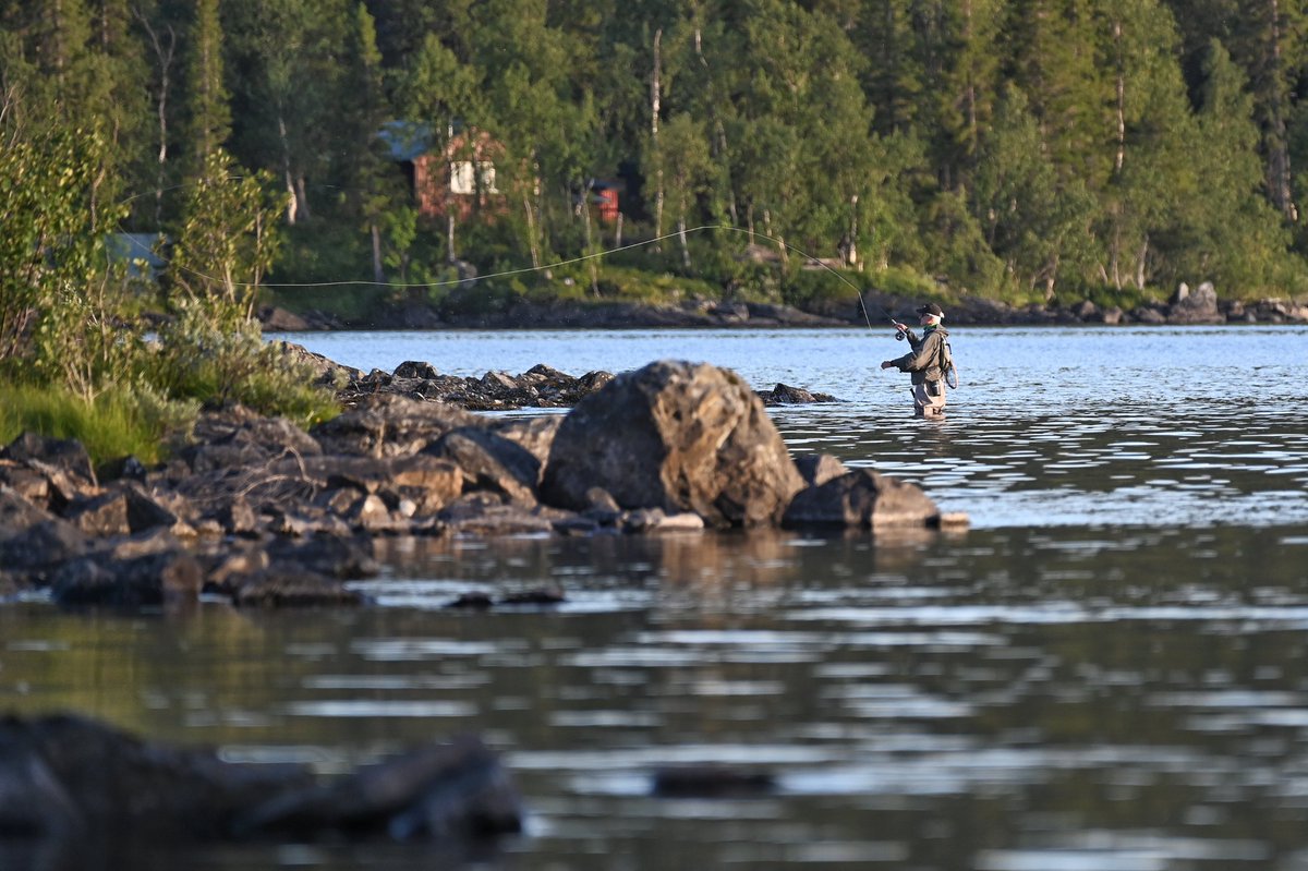 Uffemannen tweet media