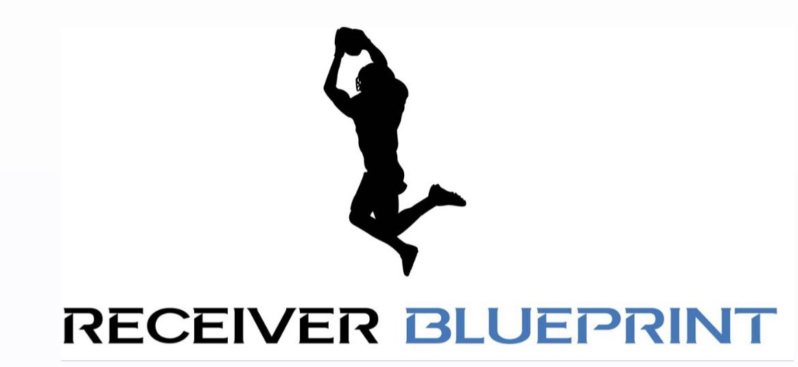 Thinking about putting our entire WR system into a video based digital program accessible with an app. Thoughts?