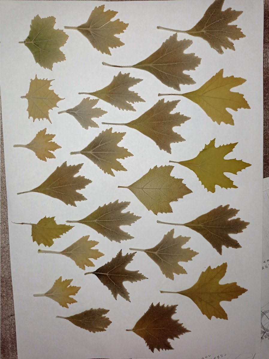 Sipariş vermek için dm den yazabilirsiniz.