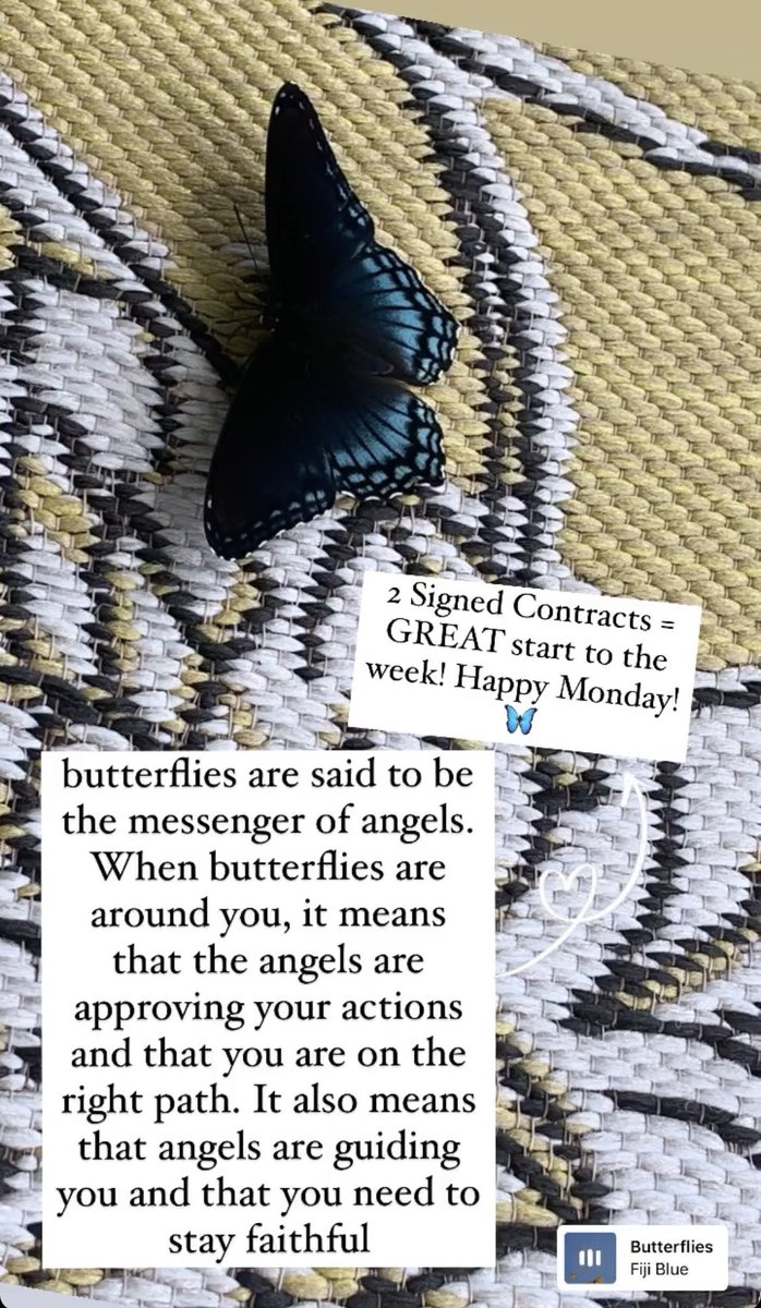 ShanaHopeBaird's tweet photo. 🦋 https://t.co/tq6cuwBWI3