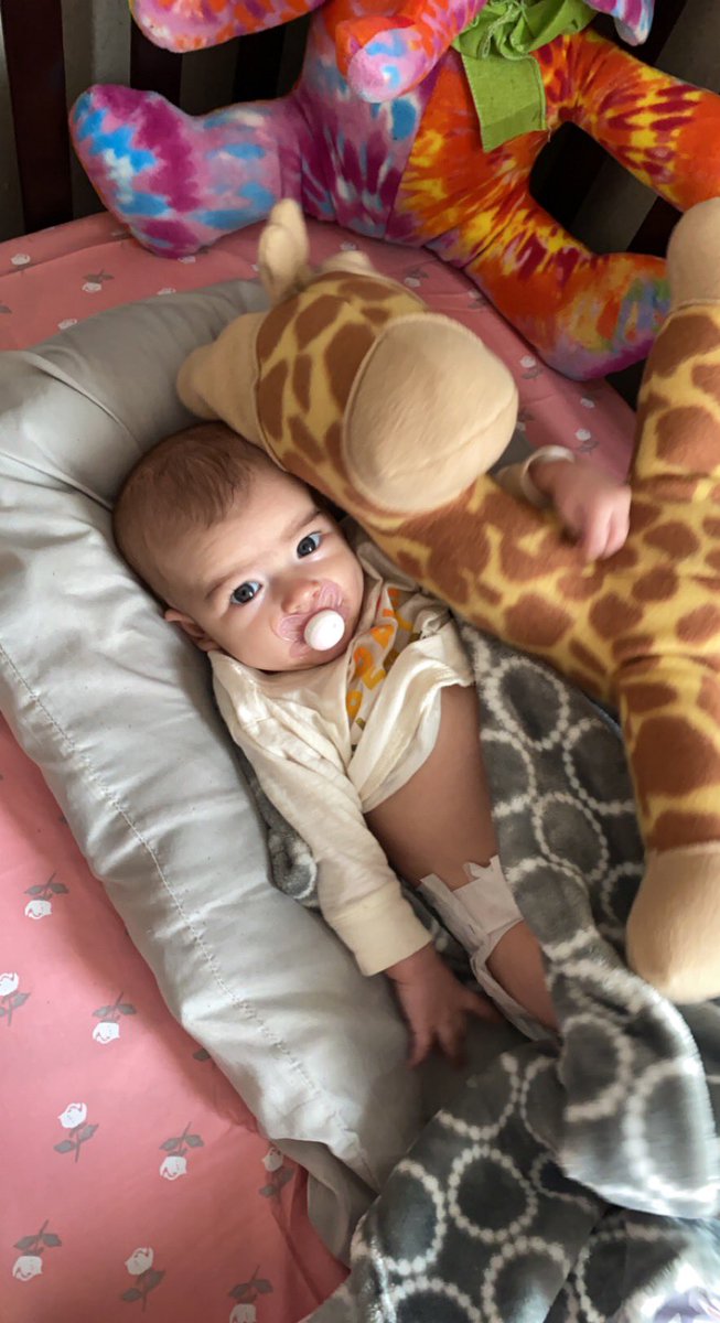 destyniwinn's tweet photo. Having a mini me is pretty fucking awesome, not gonna lie 🥰 https://t.co/vSBbvot0Vu
