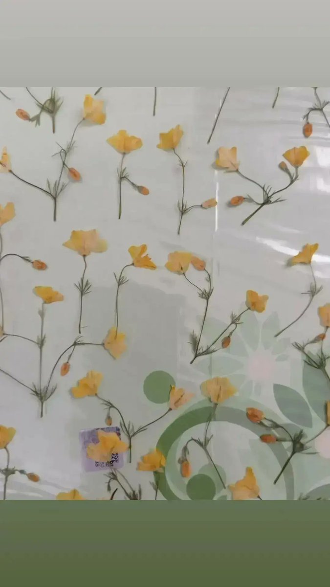 Doğal Yollarla Kuruttuğumuz Kuru Çiçek ürünlerimize sahip olmak için sipariş verebilirsiniz.