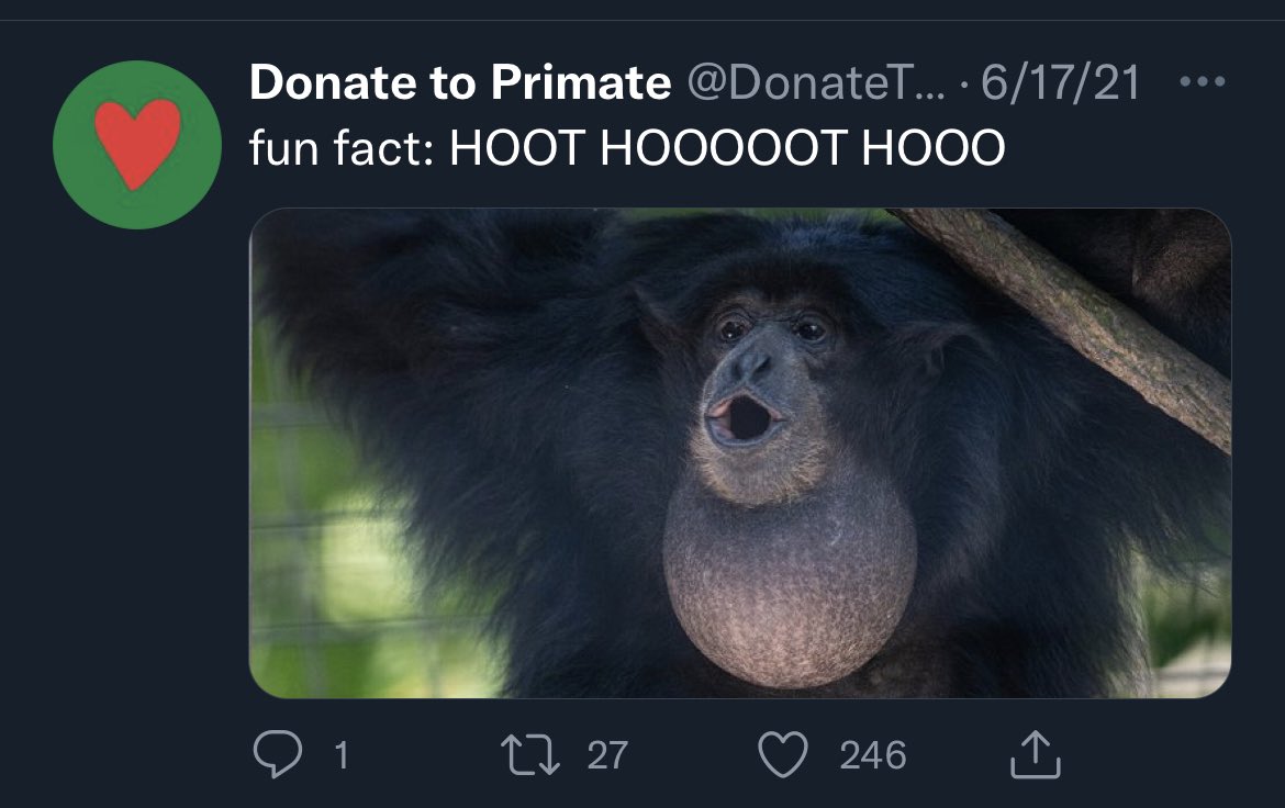 afool4apes's tweet image. 