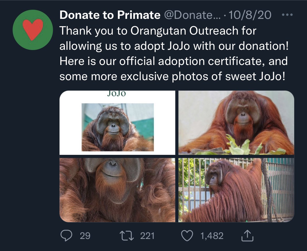 afool4apes's tweet image. 