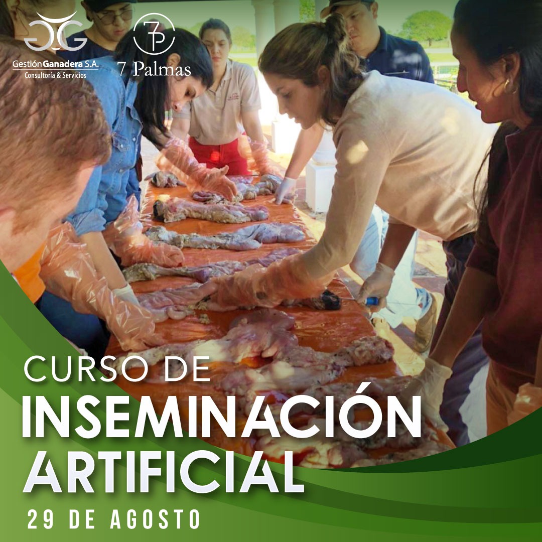 Volvemos con el "CURSO DE INSEMINACIÓN ARTIFICIAL" 🤩
Inicio: 29 de Agosto.
Lugar: Estancia Primavera - Paraguari 🇵🇾

Para inscripciones comunicarse al 0983 888 613 o al 0981 167 979 📲