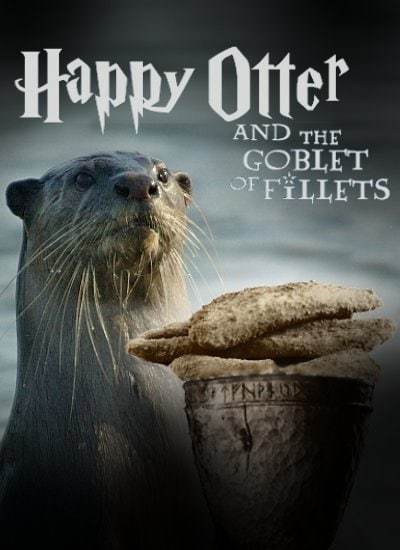 Finally! The adaptations we've all been waiting for! Starring everyone's favorite trio: Happy Otter, Ron Weasel, &amp; Erminé Granger. (1/2)