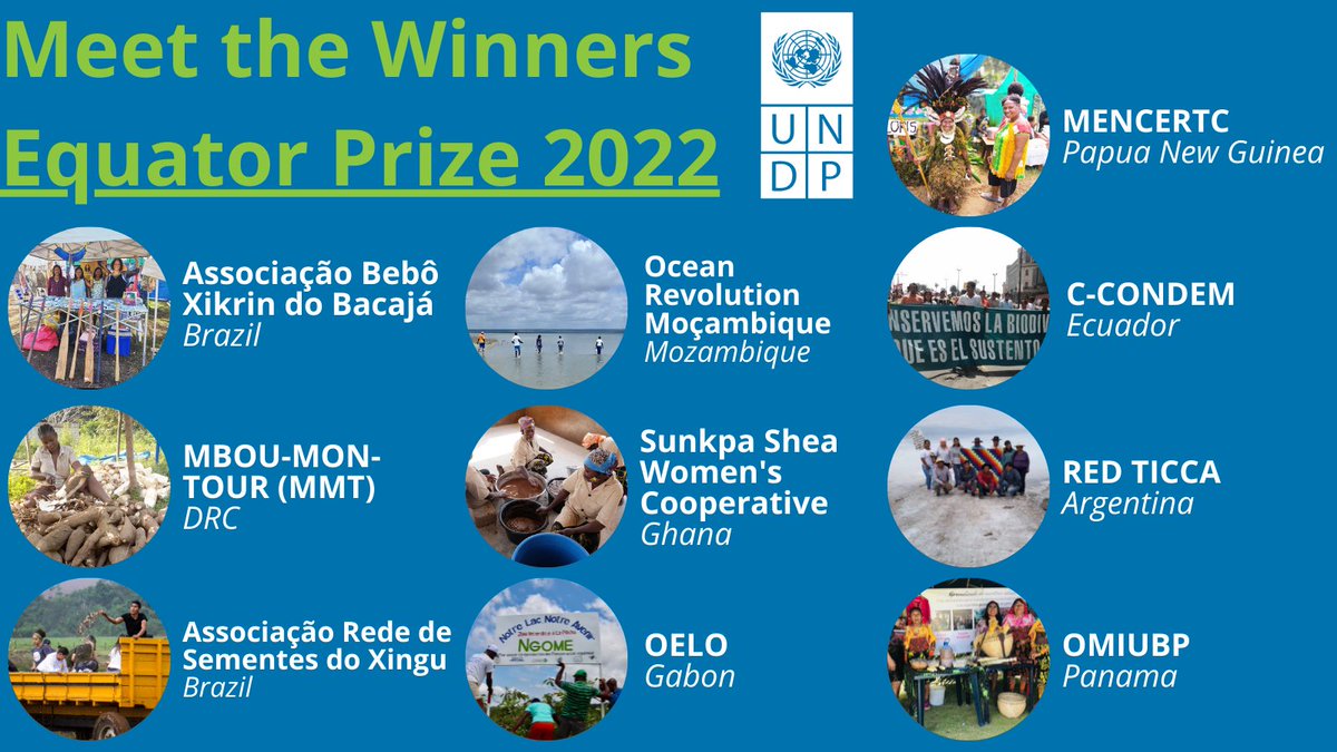 equatorinit's tweet photo. Introducing the @undp #EquatorPrize 2022 winners! 🎉
These ten Indigenous peoples and local communities represent the power of #localaction for sustainable development.
Go to the link below for the full list of winners.
https://t.co/0zfs1CJxpR https://t.co/nnFkpKgmXF