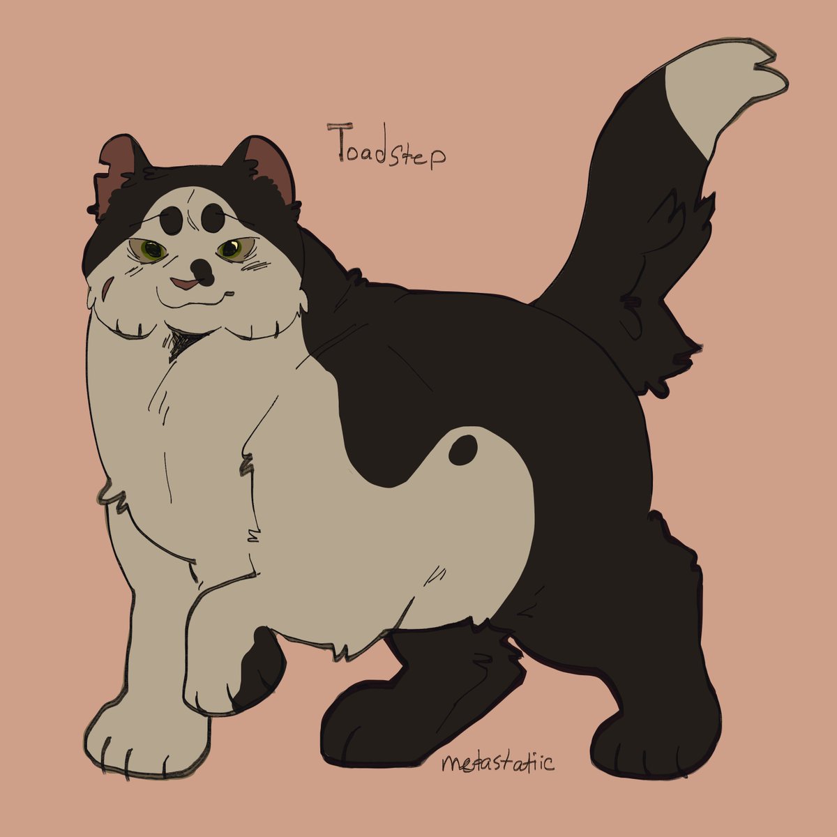 toadstep warrior cats my large juicy son