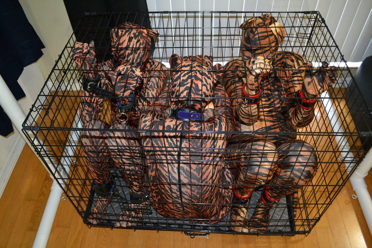 BernieBBunny's tweet photo. All my kittens are taking their baths, so they’ll be ready to play @ @FetishCon this coming weekend.
Hope you see us walking the rooms and hallways of the Con space randomly throughout the weekend.
#WeekendPasses and #DailyPasses will be available in the lobby, so
DON’T MISS OUT! https://t.co/gqgydR8dBH