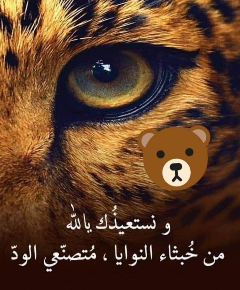 Mona Hisham (@monahis62117251) on Twitter photo 