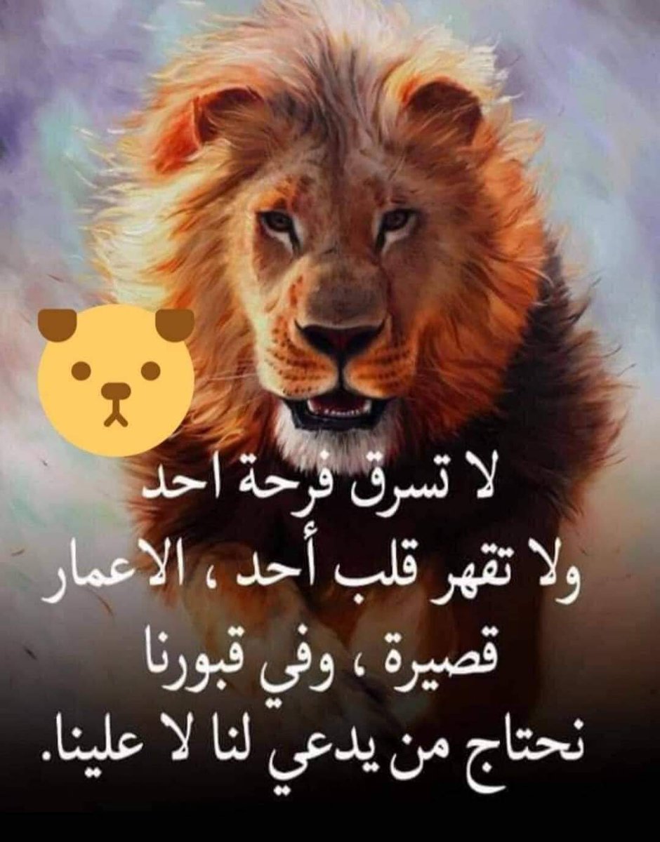 Mona Hisham (@monahis62117251) on Twitter photo 