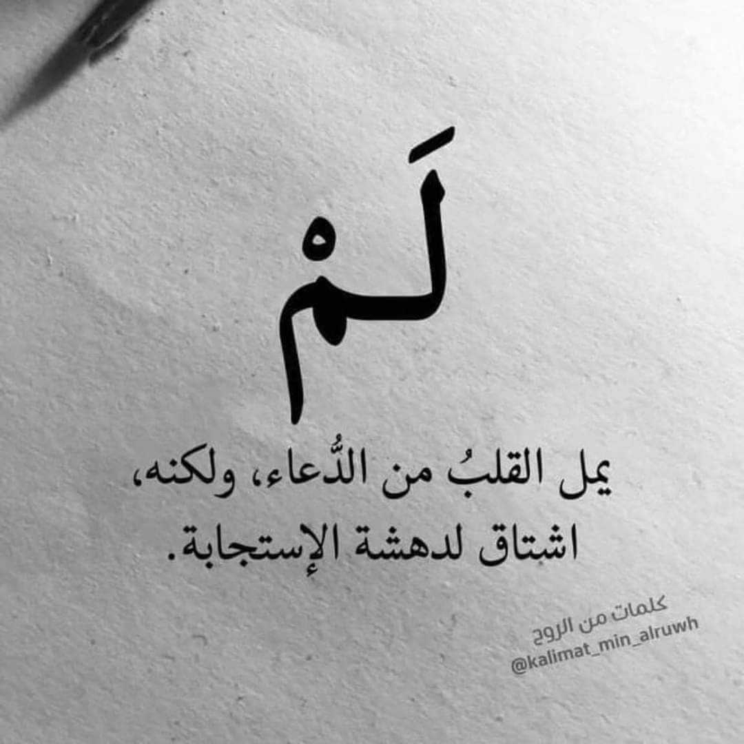Mona Hisham (@monahis62117251) on Twitter photo 