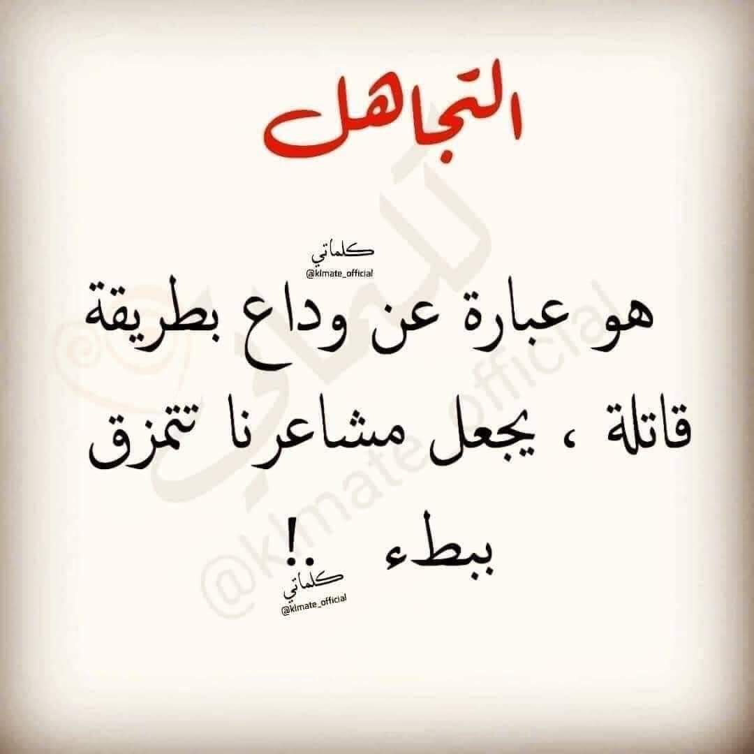 Mona Hisham (@monahis62117251) on Twitter photo 